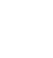 logo light